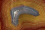 Colorful, Polished Condor Agate - Argentina #277708-1